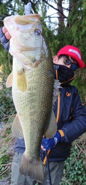 hideup 永野総一朗 ブログ写真 2017/12/17