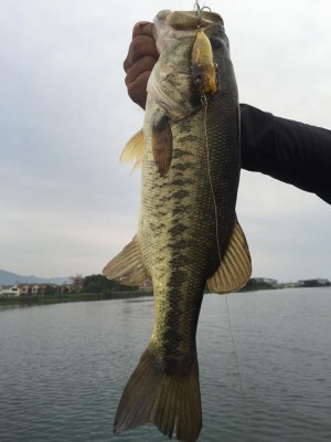 hideup 永野総一朗 ブログ写真 2015/07/03