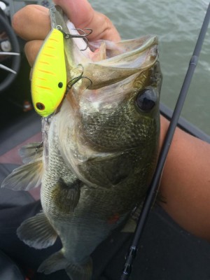 hideup 永野総一朗 ブログ写真 2016/09/21