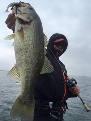 hideup 永野総一朗 ブログ写真 2015/11/18