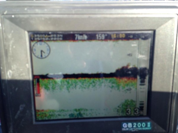 hideup 永野総一朗 ブログ写真 2015/04/08