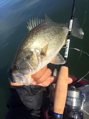 hideup 永野総一朗 ブログ写真 2015/12/14