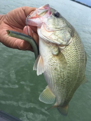 hideup 永野総一朗 ブログ写真 2016/09/27