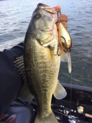 hideup 永野総一朗 ブログ写真 2016/10/13