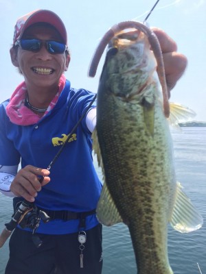 hideup 豌ｸ驥守ｷ丈ｸ譛� 繝悶Ο繧ｰ蜀咏悄 2015/08/09