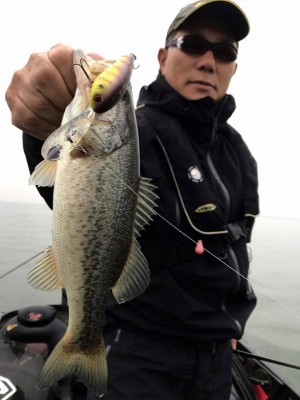 hideup 永野総一朗 ブログ写真 2017/11/08