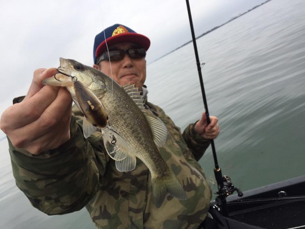 hideup 永野総一朗 ブログ写真 2016/11/19