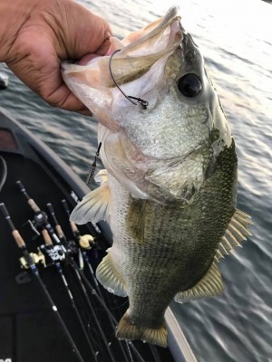 hideup 永野総一朗 ブログ写真 2017/10/09