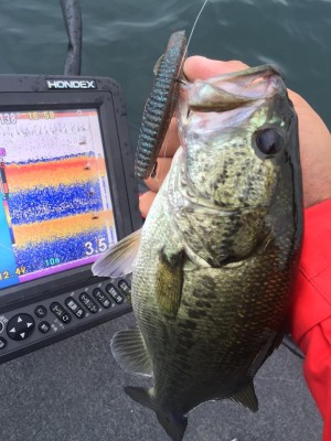 hideup 永野総一朗 ブログ写真 2015/09/06