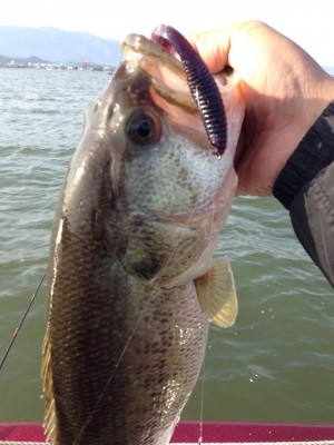 hideup 永野総一朗 ブログ写真 2013/04/08