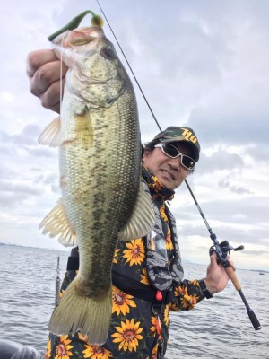 hideup 永野総一朗 ブログ写真 2017/05/06