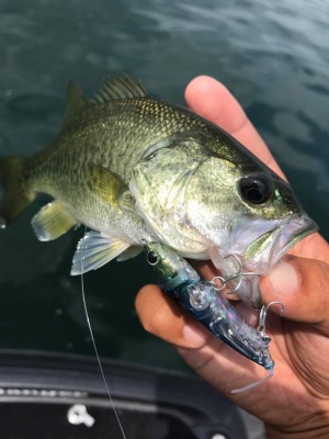 hideup 永野総一朗 ブログ写真 2017/08/02