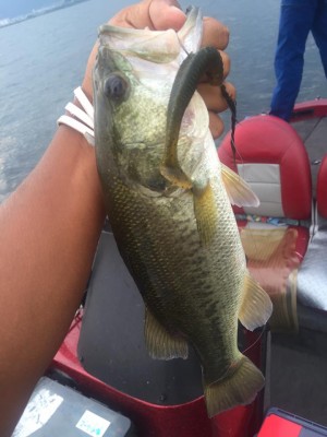 hideup 永野総一朗 ブログ写真 2015/08/12