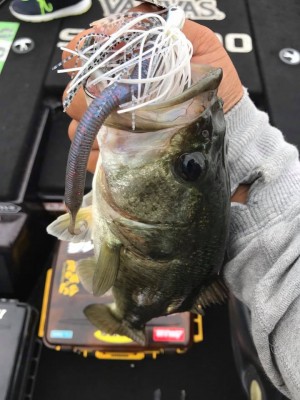 hideup 永野総一朗 ブログ写真 2017/10/13