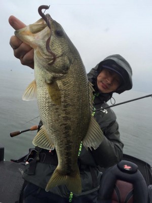 hideup 永野総一朗 ブログ写真 2016/04/21