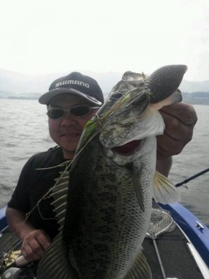 hideup 豌ｸ驥守ｷ丈ｸ譛� 繝悶Ο繧ｰ蜀咏悄 2013/07/11