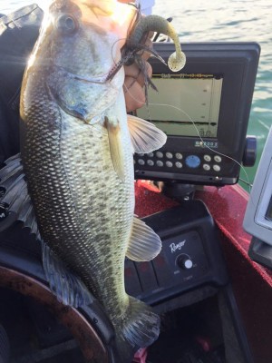 hideup 永野総一朗 ブログ写真 2015/12/24