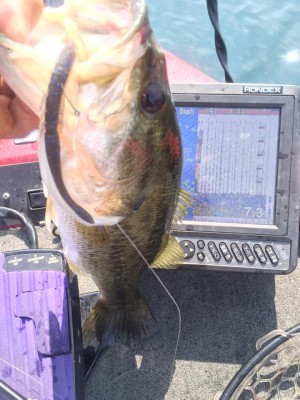 hideup 永野総一朗 ブログ写真 2015/08/11