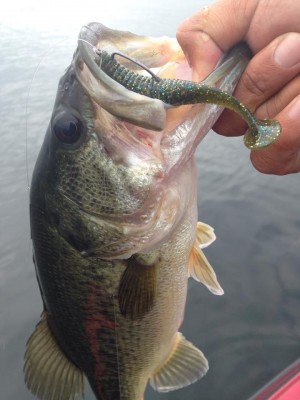 hideup 永野総一朗 ブログ写真 2015/05/21