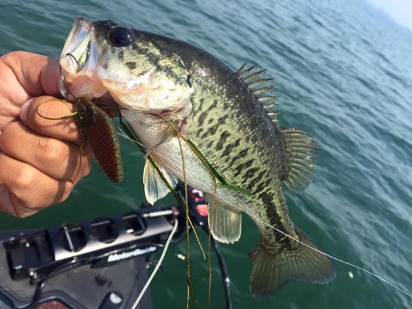 hideup 永野総一朗 ブログ写真 2016/05/21