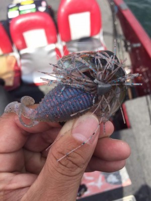 hideup 永野総一朗 ブログ写真 2015/08/26