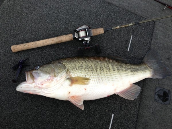 hideup 永野総一朗 ブログ写真 2013/04/03