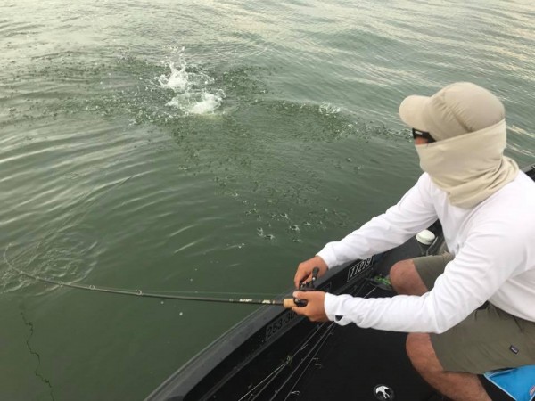 hideup 永野総一朗 ブログ写真 2017/07/12