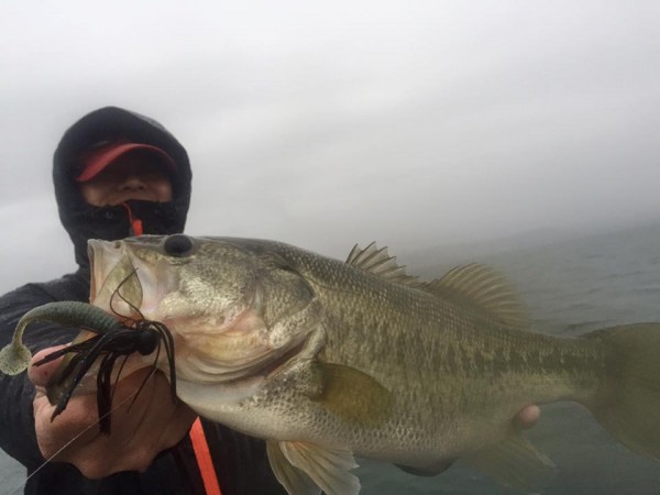 hideup 永野総一朗 ブログ写真 2015/11/18