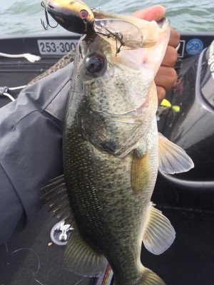 hideup 豌ｸ驥守ｷ丈ｸ譛� 繝悶Ο繧ｰ蜀咏悄 2016/10/09