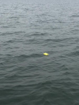 hideup 永野総一朗 ブログ写真 2017/05/20