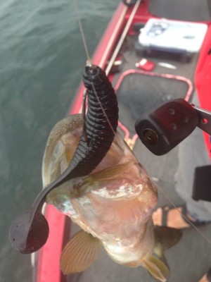 hideup 永野総一朗 ブログ写真 2015/06/05