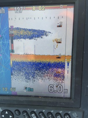 hideup 永野総一朗 ブログ写真 2015/11/01