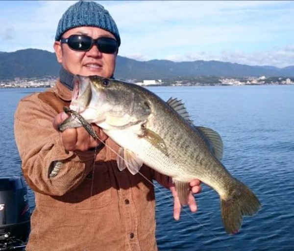 hideup 豌ｸ驥守ｷ丈ｸ譛� 繝悶Ο繧ｰ蜀咏悄 2015/11/11