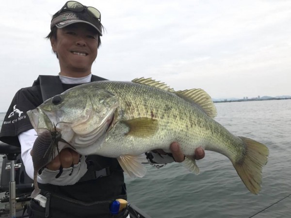 hideup 永野総一朗 ブログ写真 2017/06/28