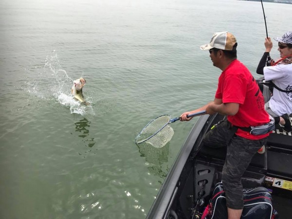 hideup 永野総一朗 ブログ写真 2017/06/22
