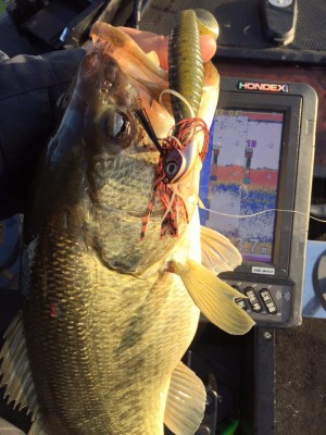 hideup 永野総一朗 ブログ写真 2016/03/26