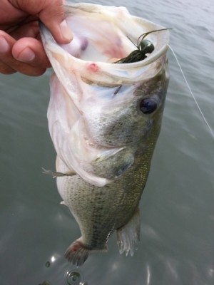 hideup 永野総一朗 ブログ写真 2013/06/08