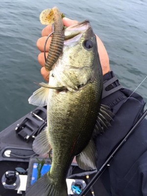 hideup 永野総一朗 ブログ写真 2016/07/25