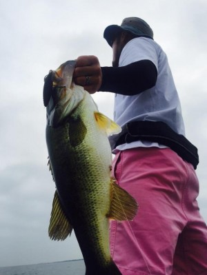 hideup 永野総一朗 ブログ写真 2015/07/11