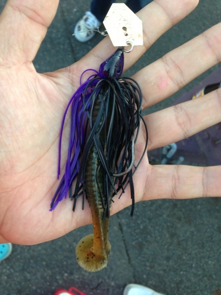 hideup 永野総一朗 ブログ写真 2013/09/19