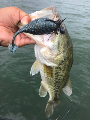 hideup 永野総一朗 ブログ写真 2017/07/06