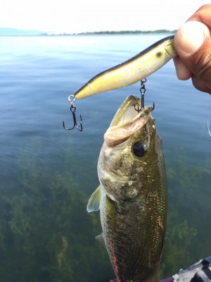 hideup 永野総一朗 ブログ写真 2015/10/05