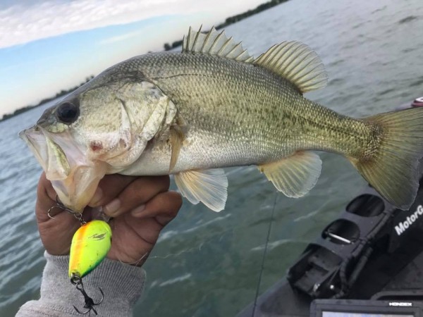 hideup 永野総一朗 ブログ写真 2017/10/17