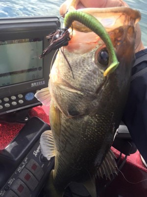 hideup 永野総一朗 ブログ写真 2015/11/24