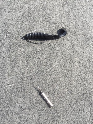 hideup 豌ｸ驥守ｷ丈ｸ譛� 繝悶Ο繧ｰ蜀咏悄 2015/08/16