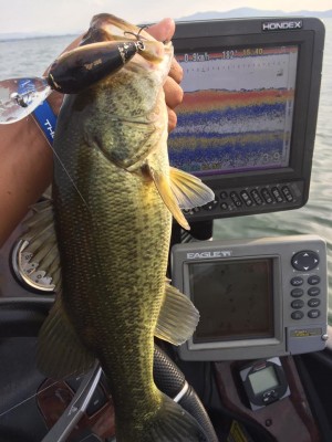 hideup 永野総一朗 ブログ写真 2016/10/03