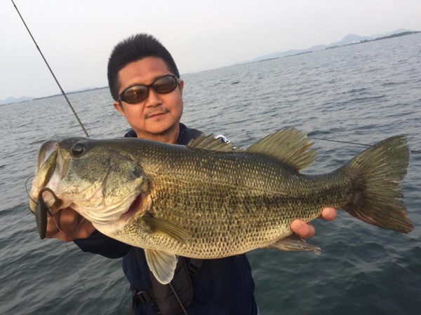 hideup 永野総一朗 ブログ写真 2017/05/11