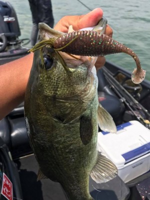 hideup 永野総一朗 ブログ写真 2017/07/18