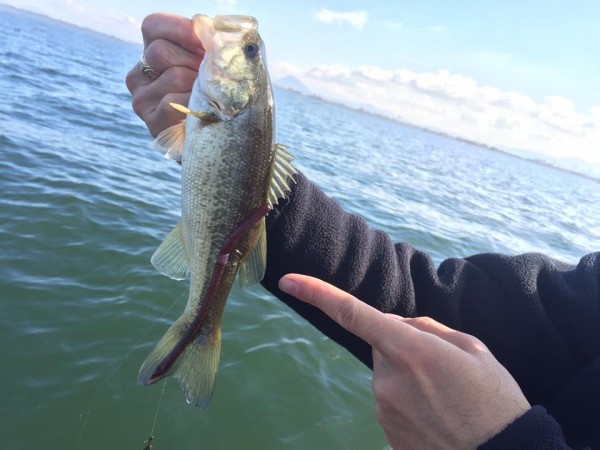 hideup 永野総一朗 ブログ写真 2016/12/06