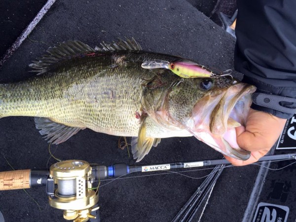 hideup 永野総一朗 ブログ写真 2016/04/21